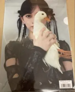 乃木坂46 池田瑛紗 個展 Wings:あひるの夢 クリアファイル2枚セット