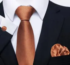 3点セット ネクタイ ビジネス 結婚式 披露宴 二次会 パーティ 発表会 TR①