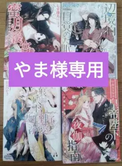 【やま様専用】小説セット 4冊