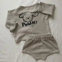 プードルセットアップ　80