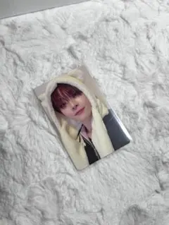 &TEAM ニコラス 雪明かり アニマル トレカ