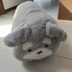 Item thumbnail for item 75586a90-4bc0-406c-bc65-1aa282586a43