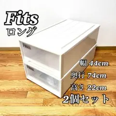 フィッツ Fits 天馬 ロング 衣装ケース クローゼット 2個セット