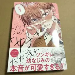 gingasara様 リクエスト 2点 まとめ商品