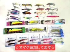 2025年最新】シーバスルアー引退の人気アイテム - メルカリ