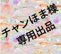 チャンほま様専用出品　10# 11# 合計２セット