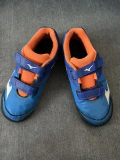 Item thumbnail for item 071155e0-eaf8-43c3-bddf-bc58e0ae4cb1