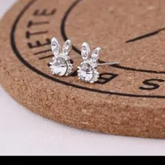 Item thumbnail for item c6884d1c-b43a-4a0a-9c62-1fe7c04a6c2b