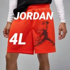 ★新品★NIKE JORDANジョーダン 25FA MJ ハーフパンツ【4L】のサムネイル