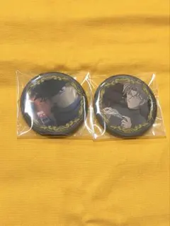 コナン　缶バッジ　SEGA 沖矢昴　火傷の男　赤井秀一　2点