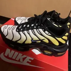 NikeAir MaxPlus International Flags27サイズ - メルカリ