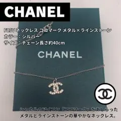 ★CHANEL（シャネル） F13V ネックレス メタル ラインストーンのサムネイル
