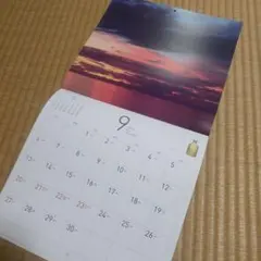 Item thumbnail for item ff09823f-5297-4251-81dc-c834ac9d6400