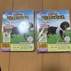 Item thumbnail for item 2520ac15-b722-413b-a591-c05fa5f12c11