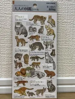 Item thumbnail for item 69b44098-513b-4739-880f-c3229186c8bb