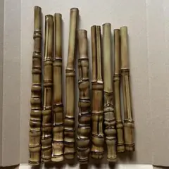 2026年最新】布袋竹の人気アイテム - メルカリ