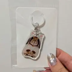 たれみみ稲荷チャーム
