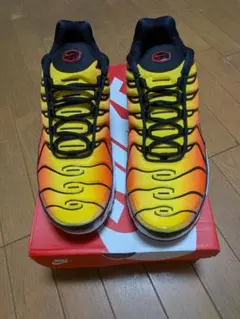 ビックサイズ・Nike Air Max Plus オレンジ/イエロー　30cm