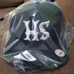 Item thumbnail for item 747d0daf-5325-4f4b-aa19-0626e4f25d2a