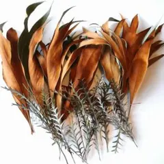 Item thumbnail for item 4610b7b6-7e99-4e6f-8a60-1c39ecd9a621