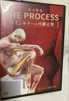 THE PROCESS ペインキラーの内臓定理