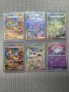 テラステルフェス　SAR