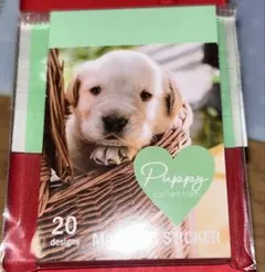 ブック型マスキングシール puppy 子犬 セリア