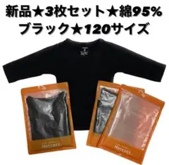 Item thumbnail for item b91b2a91-6eeb-41d0-a030-91b63ff9db3f