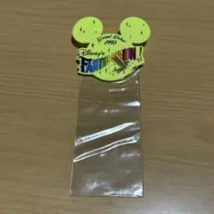 東京ディズニーランド　ディズニー　チケットホルダー