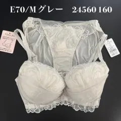 グレー　E70/M ナルエー　ブラショーツセット　24560 160のサムネイル