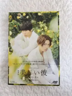 美しい彼 シーズン1•2•劇場版 初回生産限定DVD 全3作品セット 美しい彼 シーズン1•2•劇場版 初回生産限定DVD 全3作品