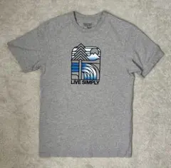 patagonia LIVE SIMPLY Tシャツ Sサイズ