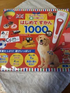 はじめてずかん1000 新品未使用