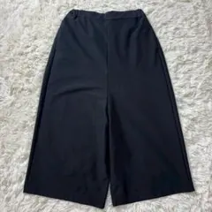 mizuiroind ワイドパンツ イージーパンツ ウエストゴム　サイズ2 黒