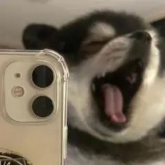 みぃみぃー様 リクエスト 9点 まとめ商品