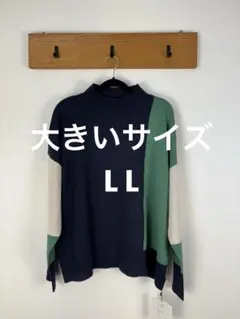 大きいサイズ　レディース　2 L カラーブロック ニットセーター 長袖