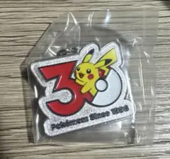 ポケモン30周年 メタルチャームマスコット めじるしアクセサリー ピカチュウ
