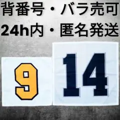 Item thumbnail for item ad8b7edf-3fca-4cb0-9bfc-c062fb03b4fa