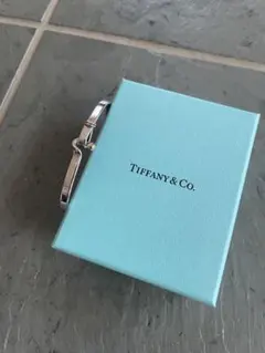 ティファニー×ナイキコラボ デュプレ tiffany スターリングシルバー925