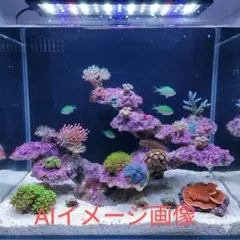 人工ライブロック BG30 38×26×29 アク抜き済み安心塗料使用 - メルカリ