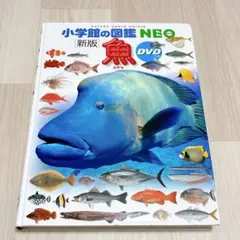 【美品】小学館の図鑑NEO 新版　魚　DVD 付き