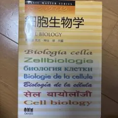 Item thumbnail for item c6b36aa9-08e6-4a6c-bbda-666bf7efabb5