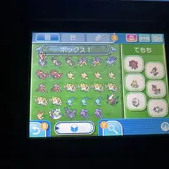 ポケットモンスターサン第五世代の配布ポケモン多数