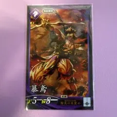 雑賀孫一様ご依頼専用 英傑大戦 玄012 ER雑賀孫市 - メルカリ