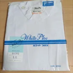 Item thumbnail for item 951bccfc-8a48-4e15-940e-0256db93a84f