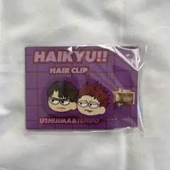 ハイキュー!! 牛島&天童 ヘアクリップ