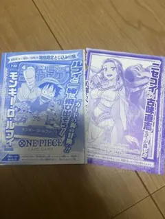 ONE PIECE CARD GAME 限定付録