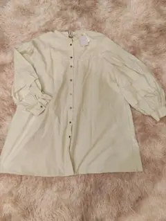 淡いグリーンのバルーンスリーブチュニック　大きめサイズ　春色