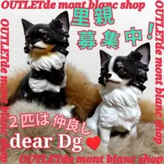 2匹の仲良しチワワ dearDg チワワ 陶器製 チワワ置物 2匹の仲良しチワワ dearDg チワワ 陶器製 チワワ置物 - メルカリ