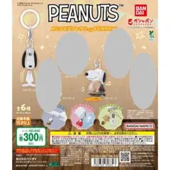 PEANUTS めじるしアクセサリー FUNNY ver. スヌーピーA・D